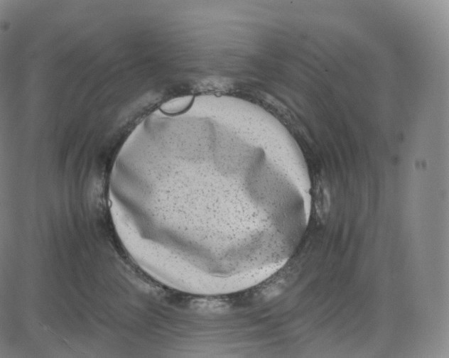 X0000080710714200701051009