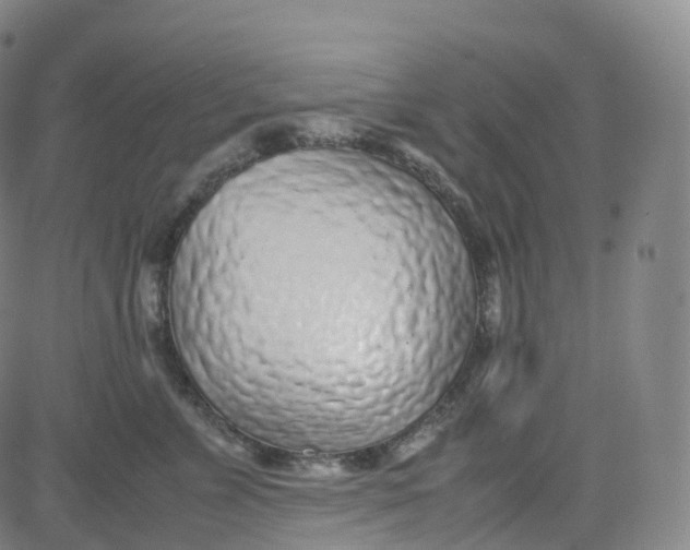 X0000080710715200701051009