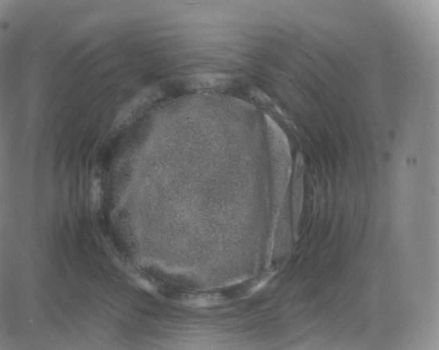 X0000080710716200701051009