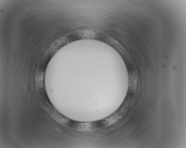 X0000080710717200701051009