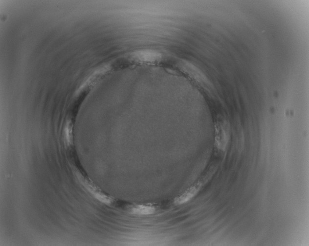 X0000080710718200701051009