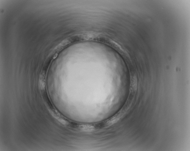 X0000080710719200701051009