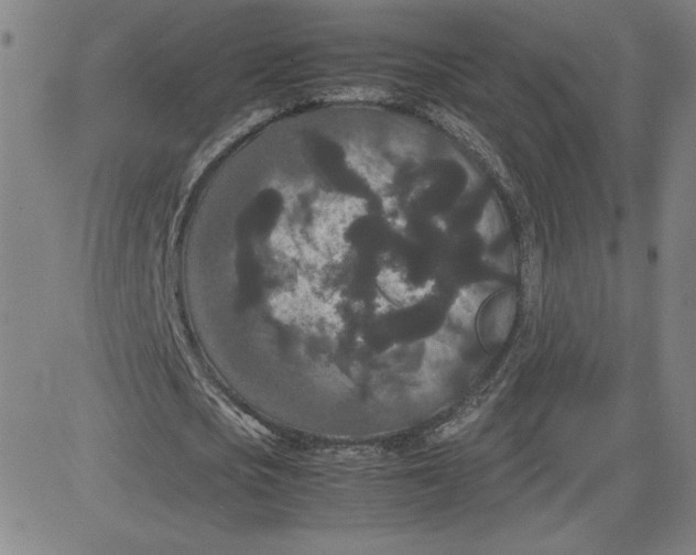 X0000080710721200701051008