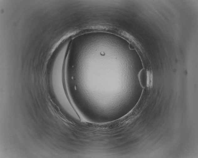 X0000080710723200701051008