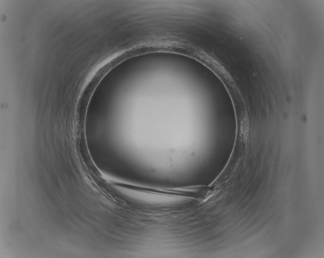 X0000080710724200701051008