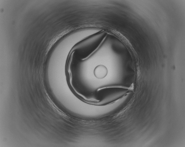 X0000080710725200701051008