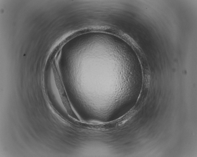 X0000080710726200701051009