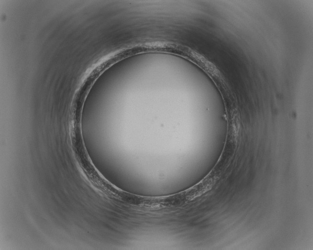 X0000080710728200701051009