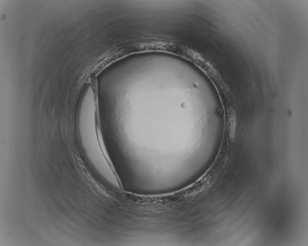 X0000080710729200701051009