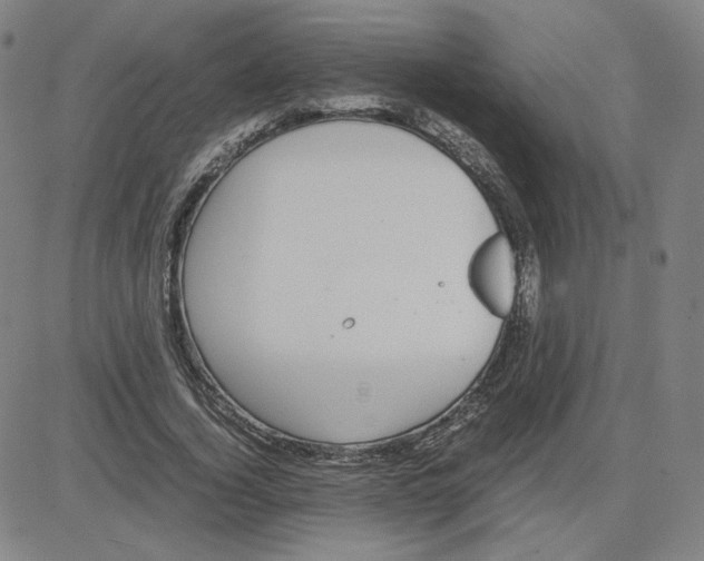 X0000080710732200701051009