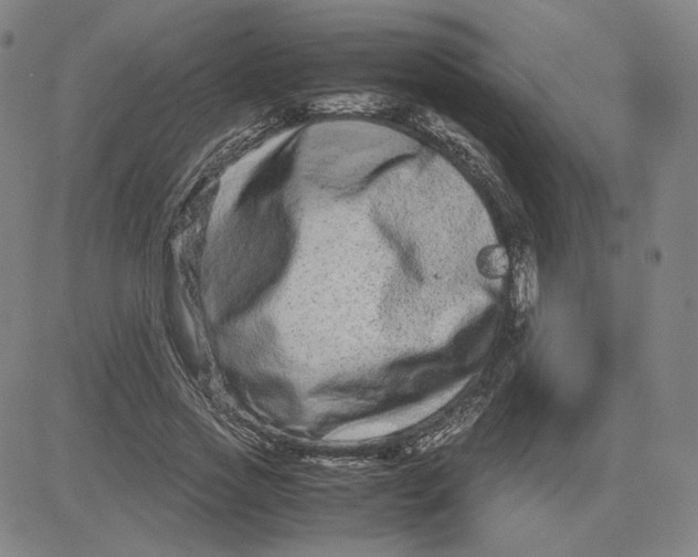 X0000080710733200701051009