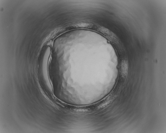 X0000080710734200701051009