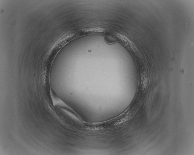 X0000080710735200701051009