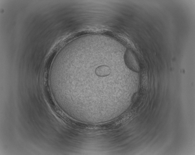 X0000080710736200701051009