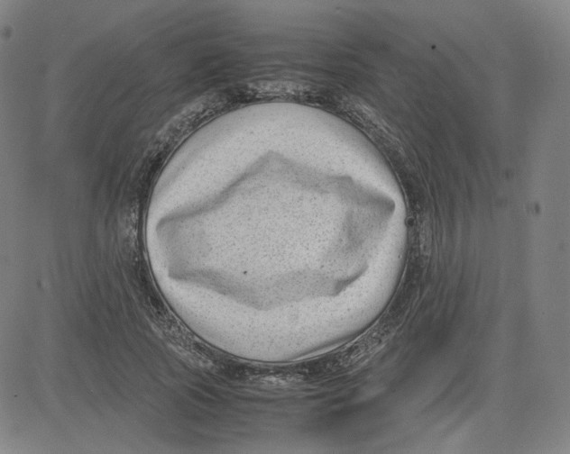 X0000080710737200701051009