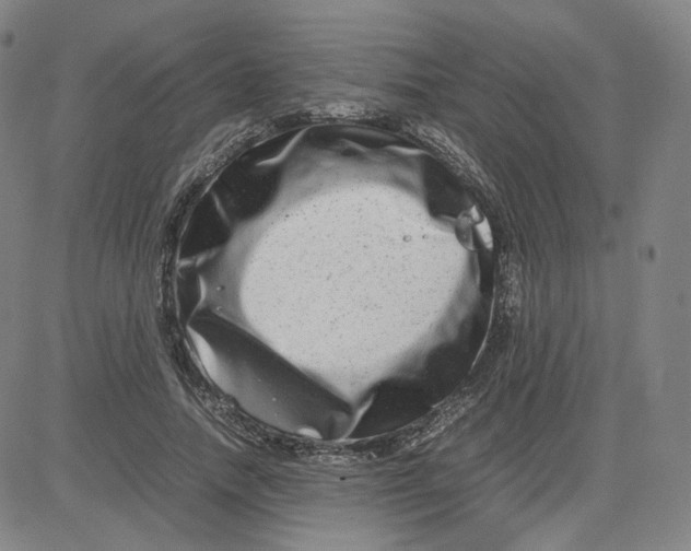 X0000080710738200701051009