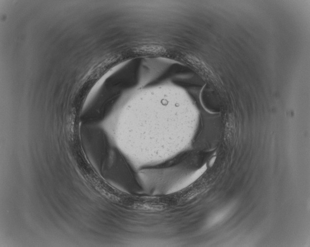 X0000080710739200701051009