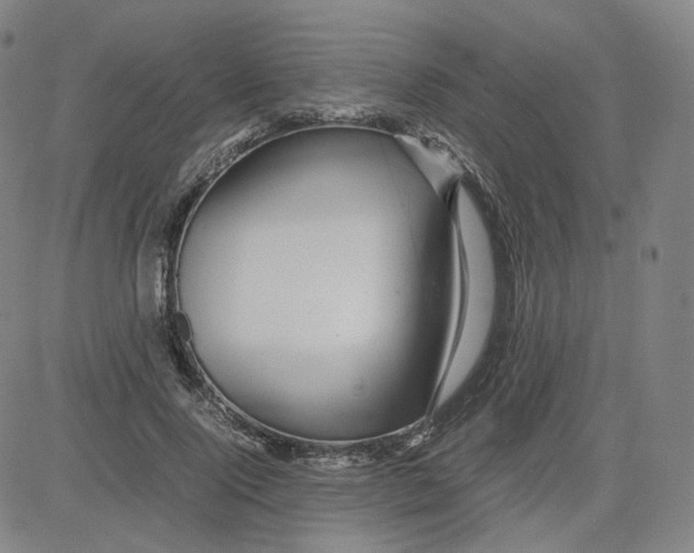 X0000080710740200701051009