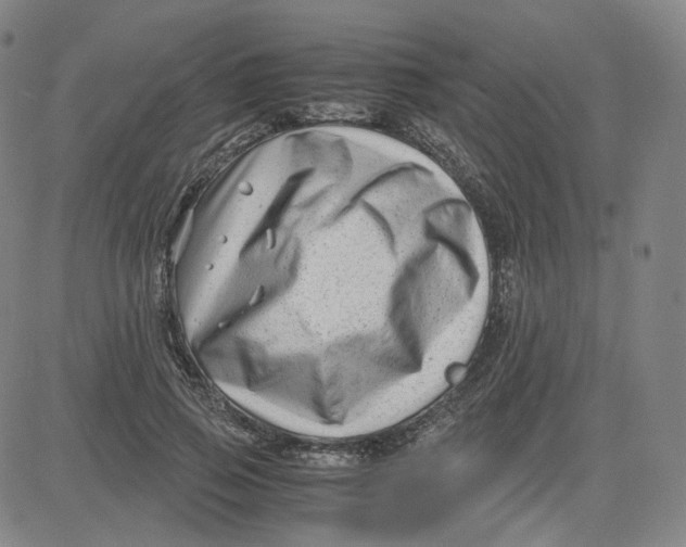 X0000080710741200701051009