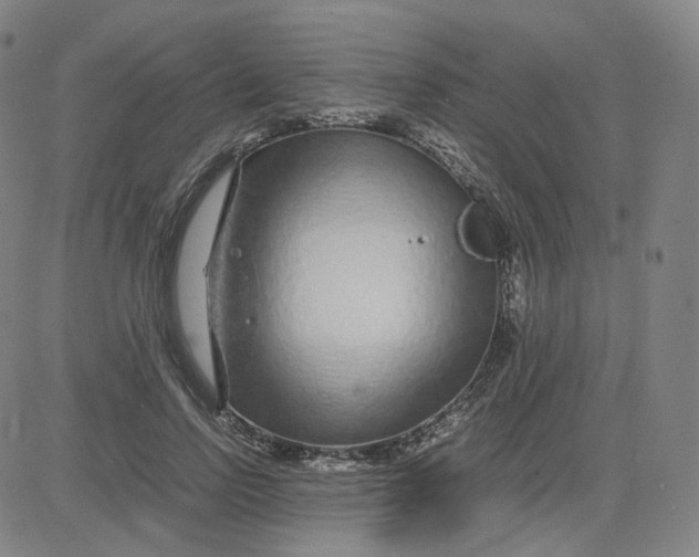 X0000080710742200701051009