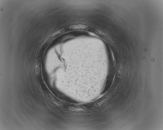 X0000080710743200701051009