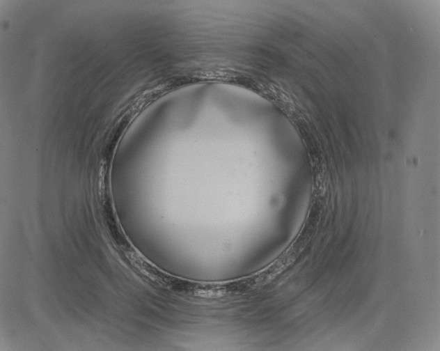 X0000080710744200701051009