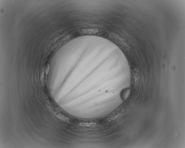 X0000080710745200701051009