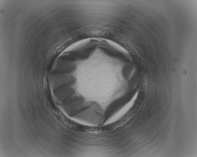 X0000080710746200701051009