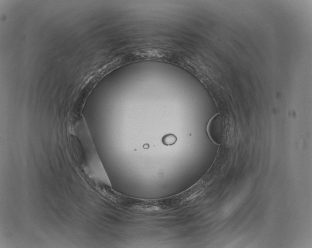 X0000080710747200701051009