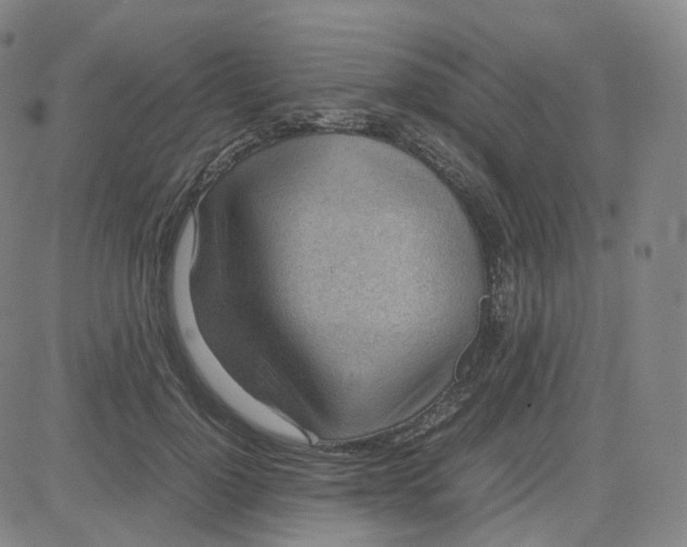 X0000080710748200701051009