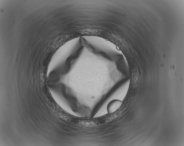 X0000080710749200701051009