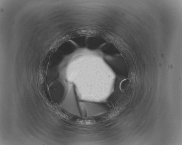 X0000080710751200701051009