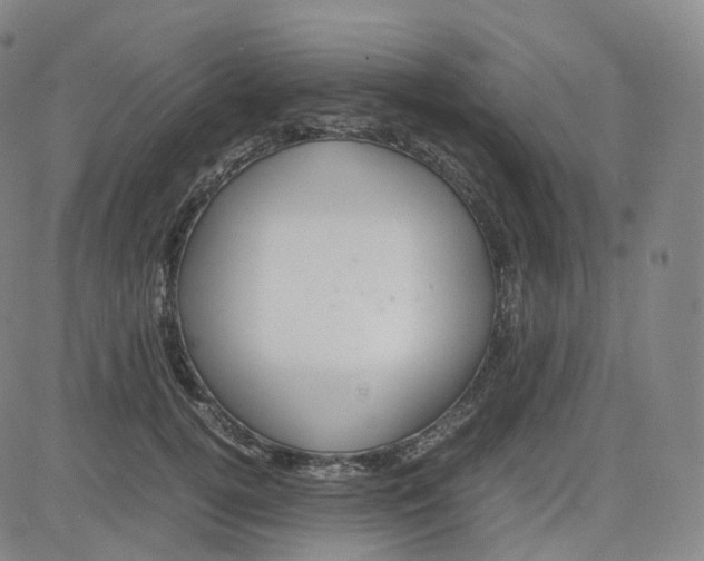 X0000080710752200701051009