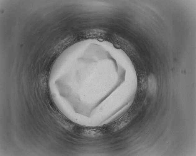 X0000080710753200701051009