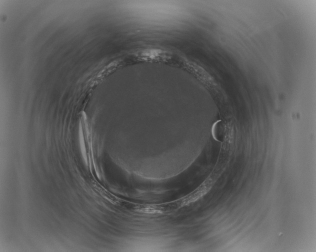 X0000080710754200701051009