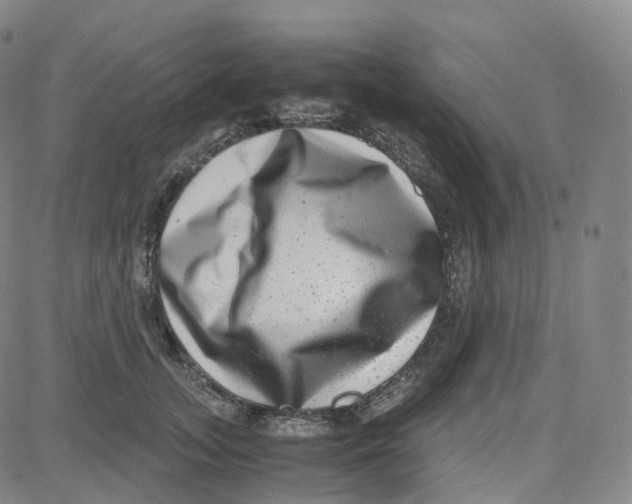 X0000080710755200701051009