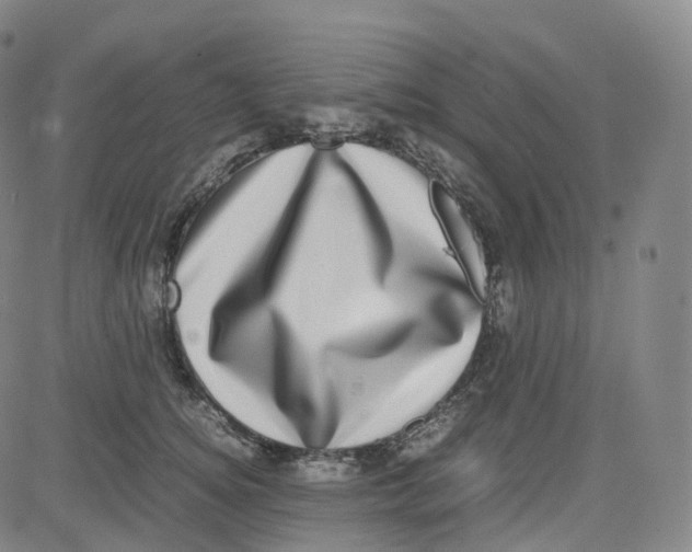 X0000080710756200701051009