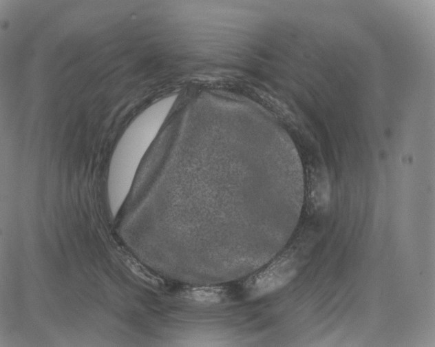 X0000080710758200701051009