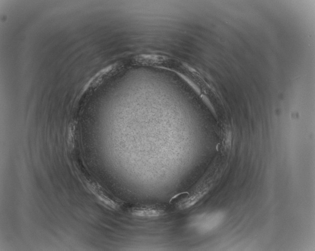 X0000080710759200701051009