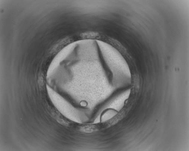 X0000080710761200701051009