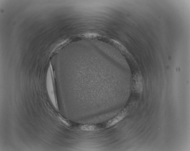 X0000080710762200701051009