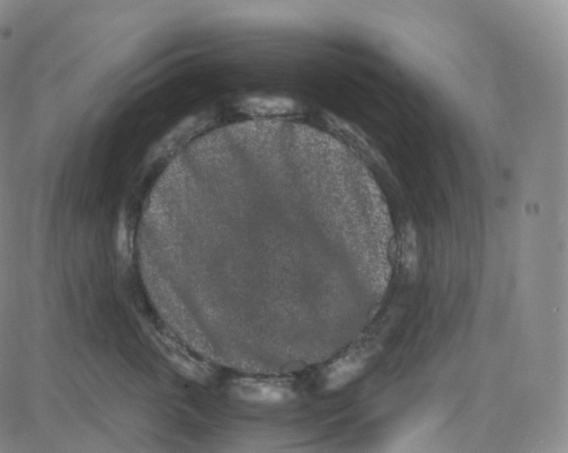 X0000080710763200701051009