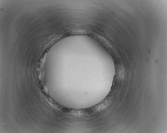 X0000080710764200701051009