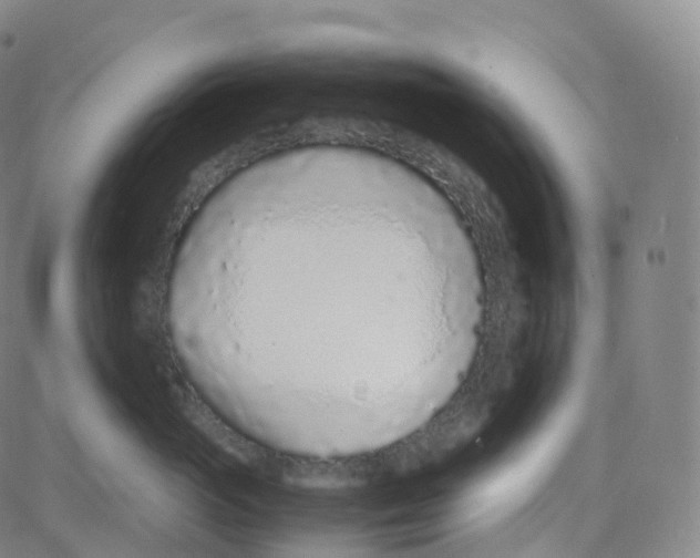 X0000080710765200701051009