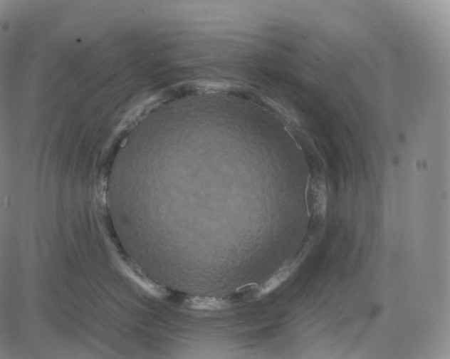 X0000080710766200701051009