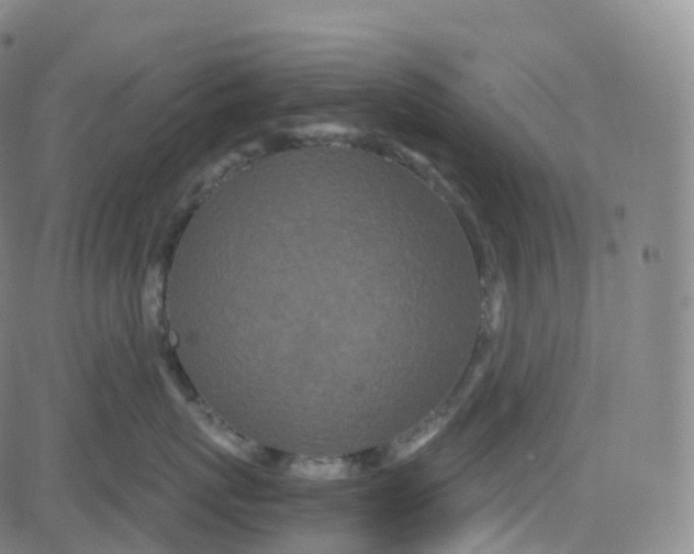 X0000080710767200701051009