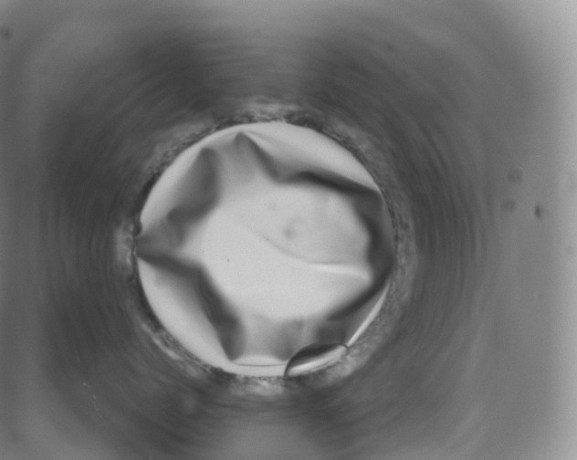 X0000080710768200701051009