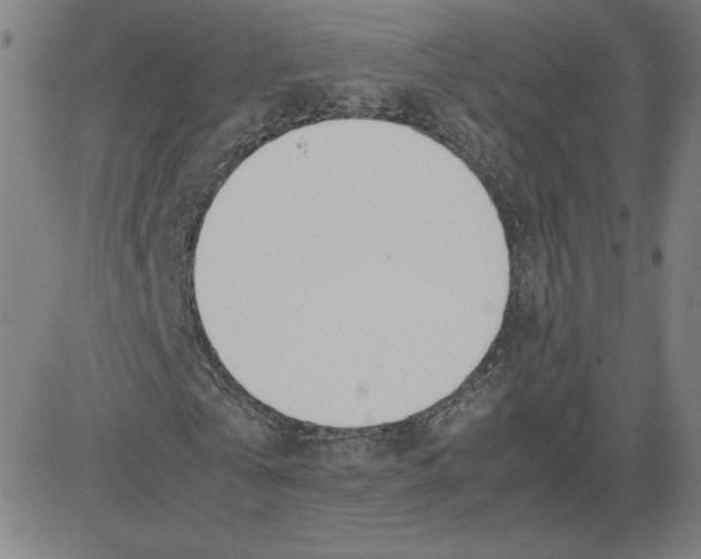 X0000080710769200701051008