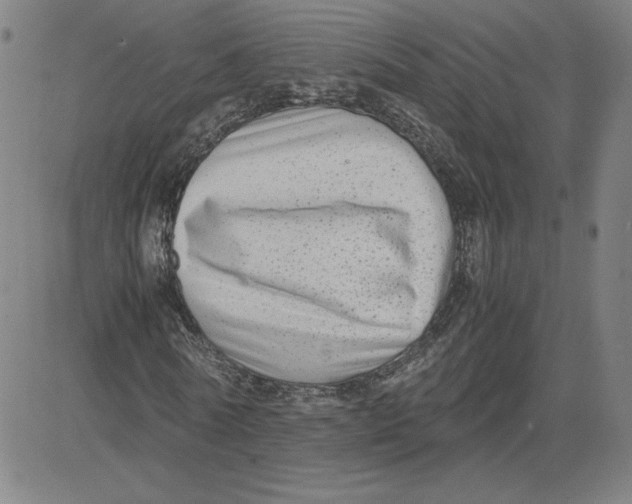 X0000080710770200701051008