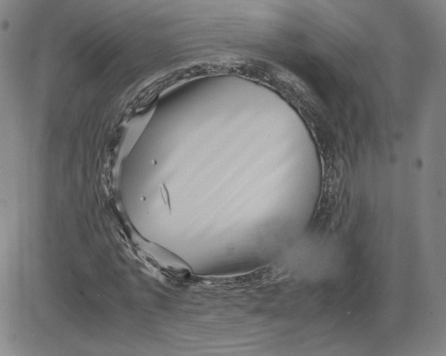 X0000080710773200701051008